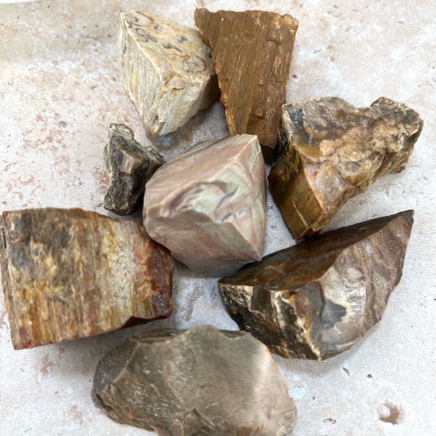 Rough Petrified Wood