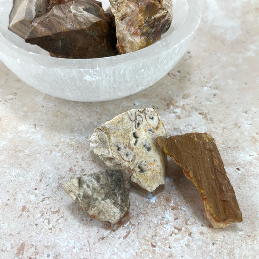 Rough Petrified Wood