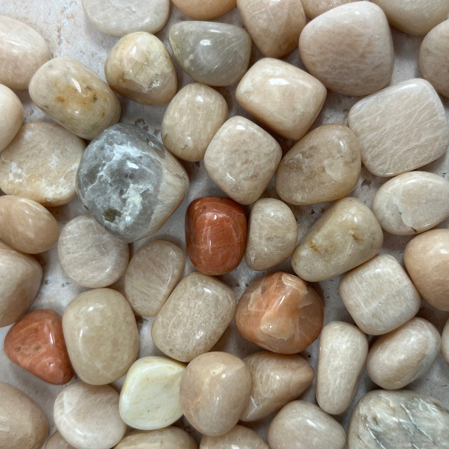 Peach Moonstone Tumble Stone