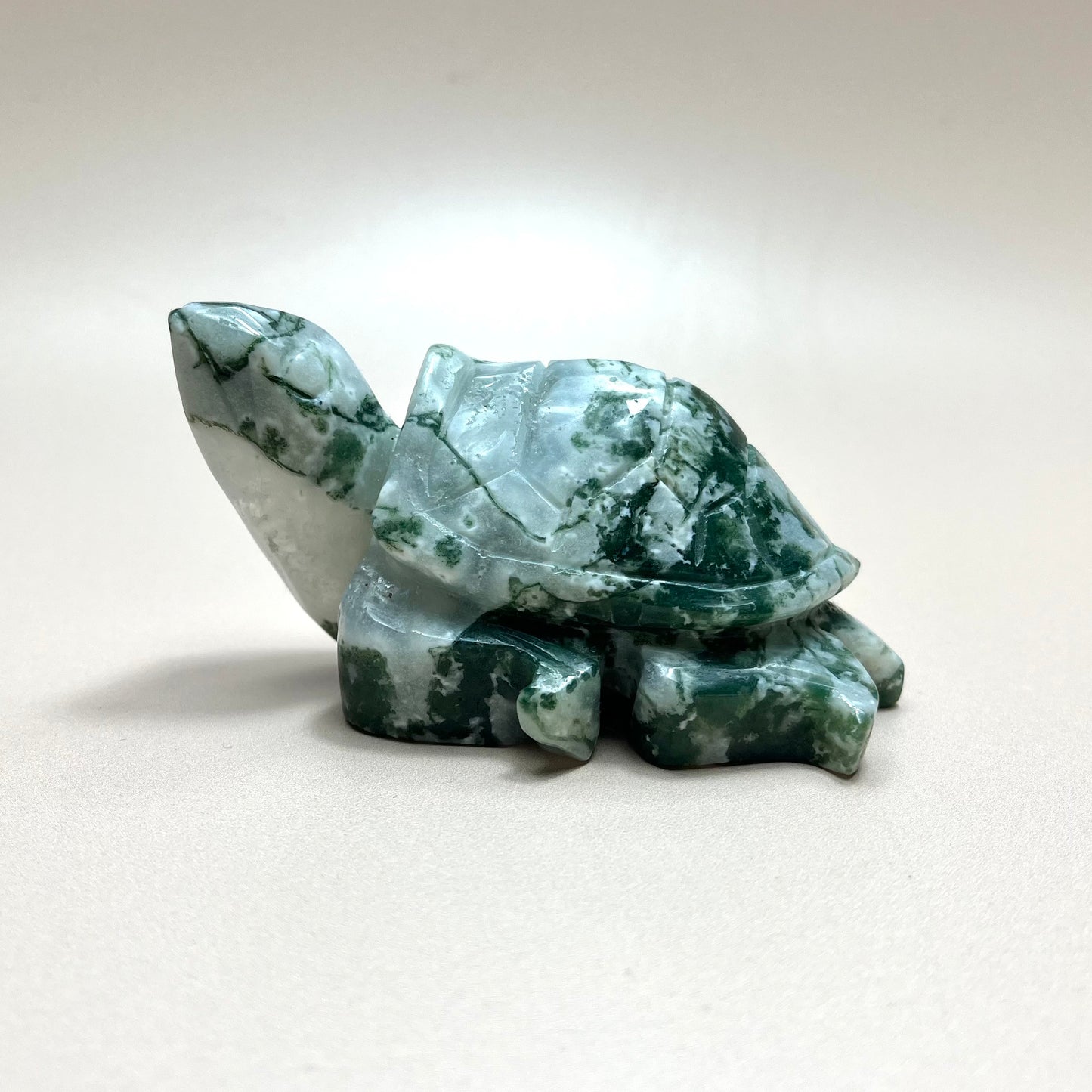 Moss Agate Turtle