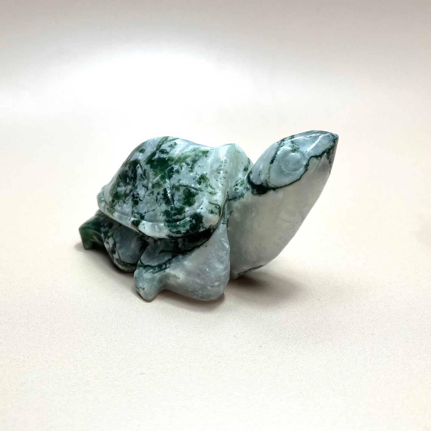 Moss Agate Turtle
