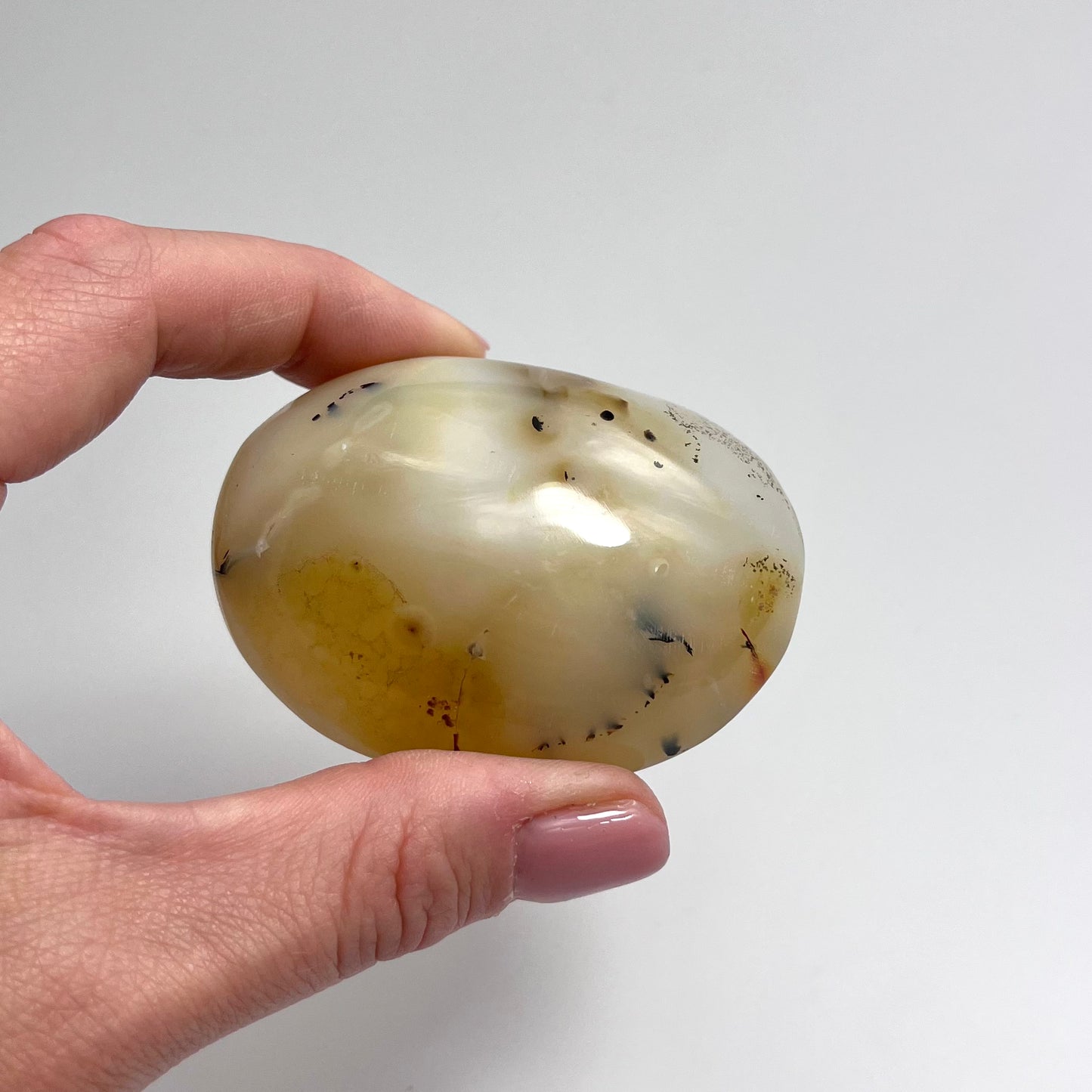 Agate Dendritic Opal Palm Stone
