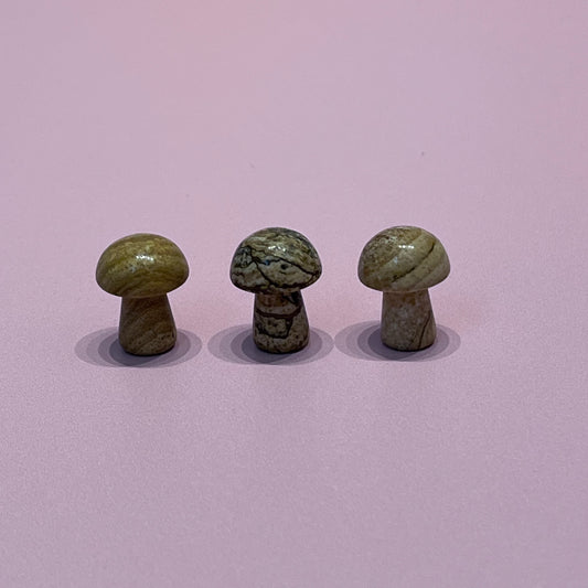 Mini Jasper Mushroom