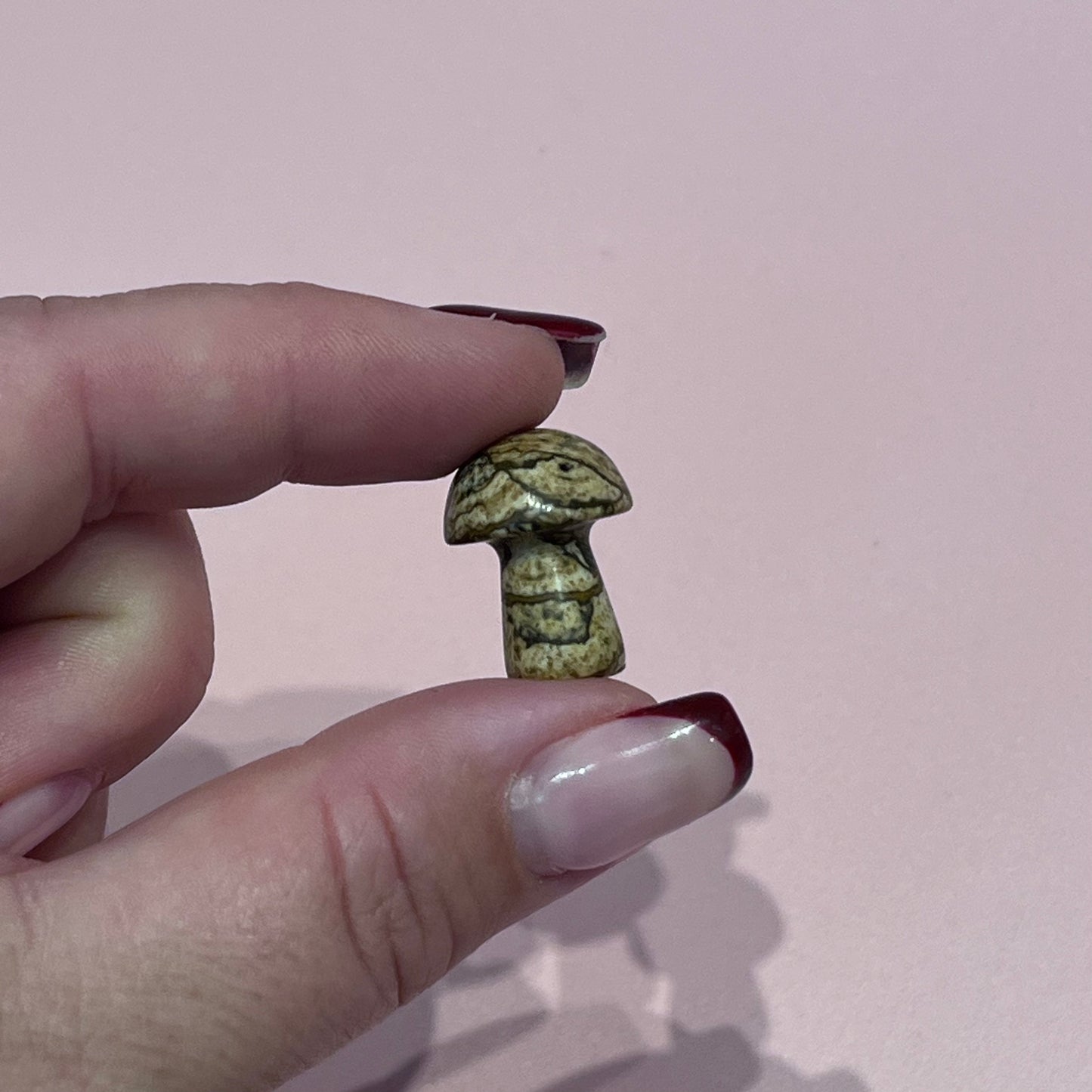 Mini Jasper Mushroom