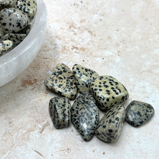 Dalmatian Jasper Tumble Stone