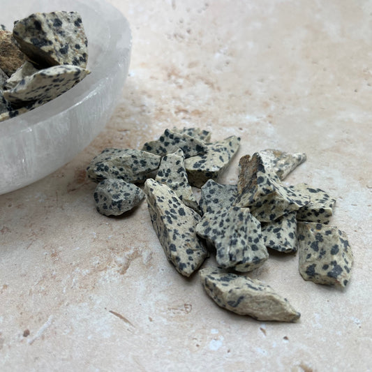 Dalmatian Jasper Rough Piece