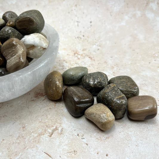 Petrified Wood Tumble