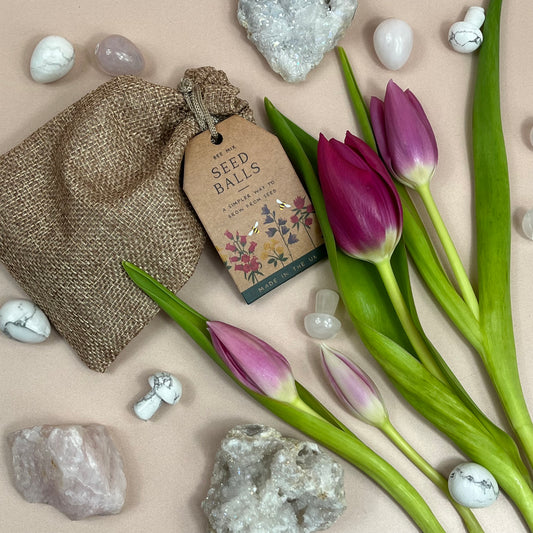 Wild Flower Seed Balls