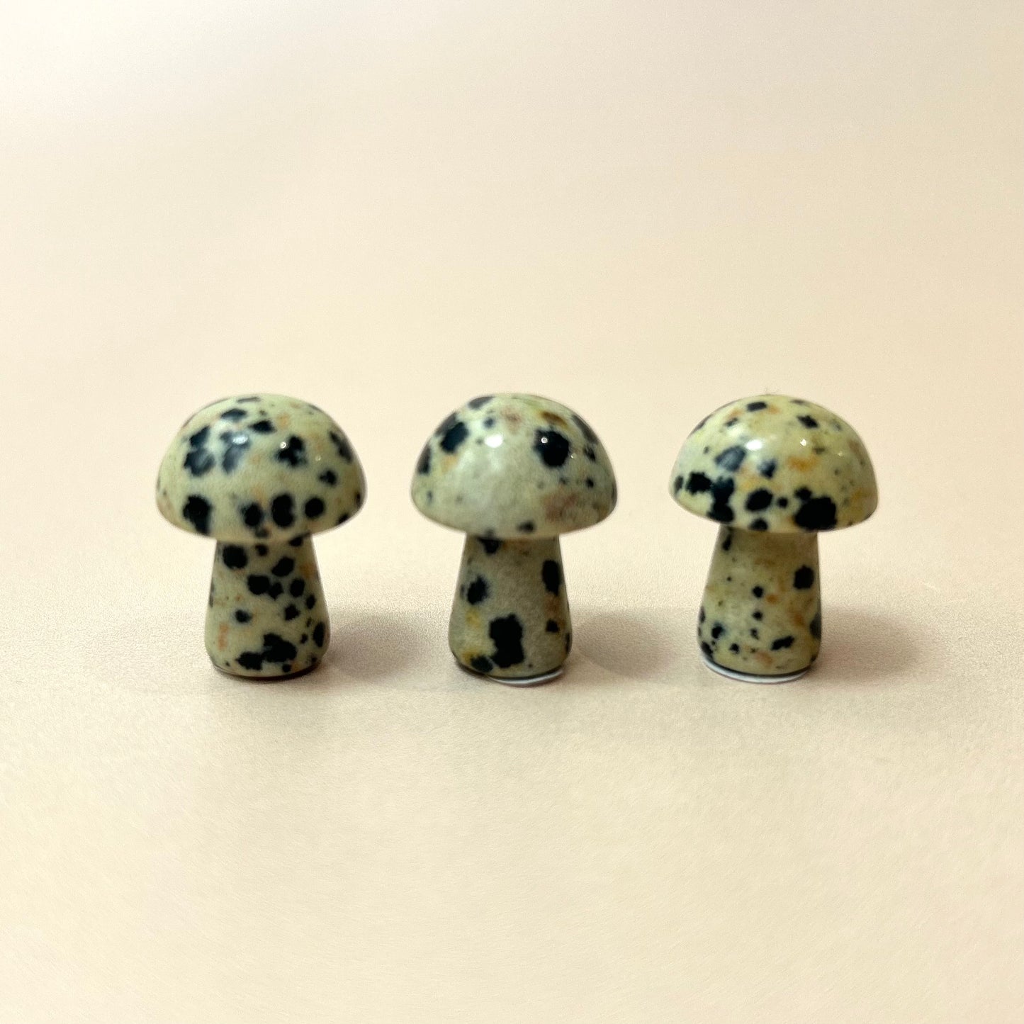 Dalmatian Jasper Mushroom