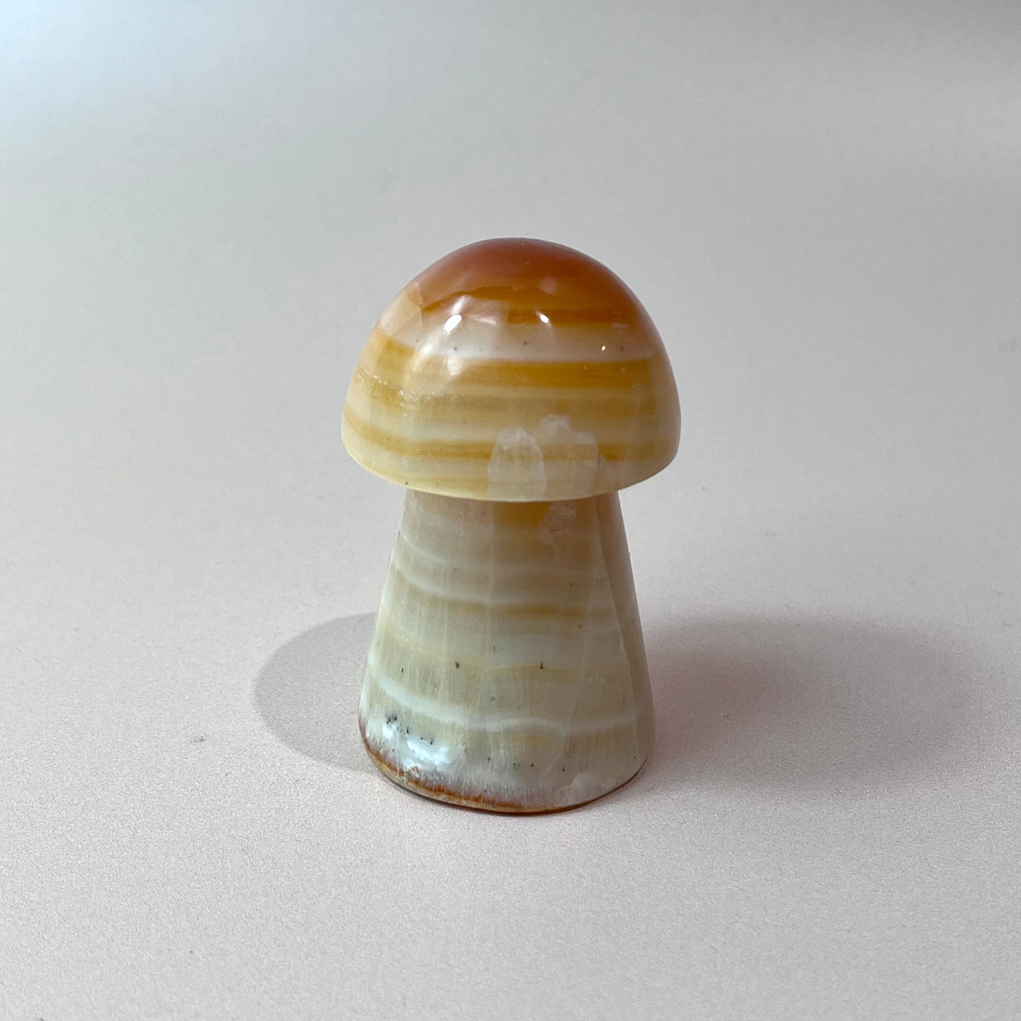 Brown/Orange Aragonite Mushroom