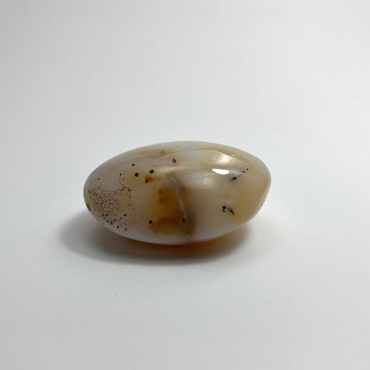 Agate Dendritic Opal Palm Stone