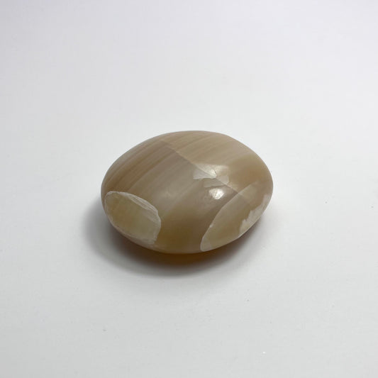 Aragonite Palmstone