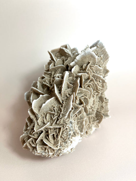 Desert Rose Gypsum Large Piece