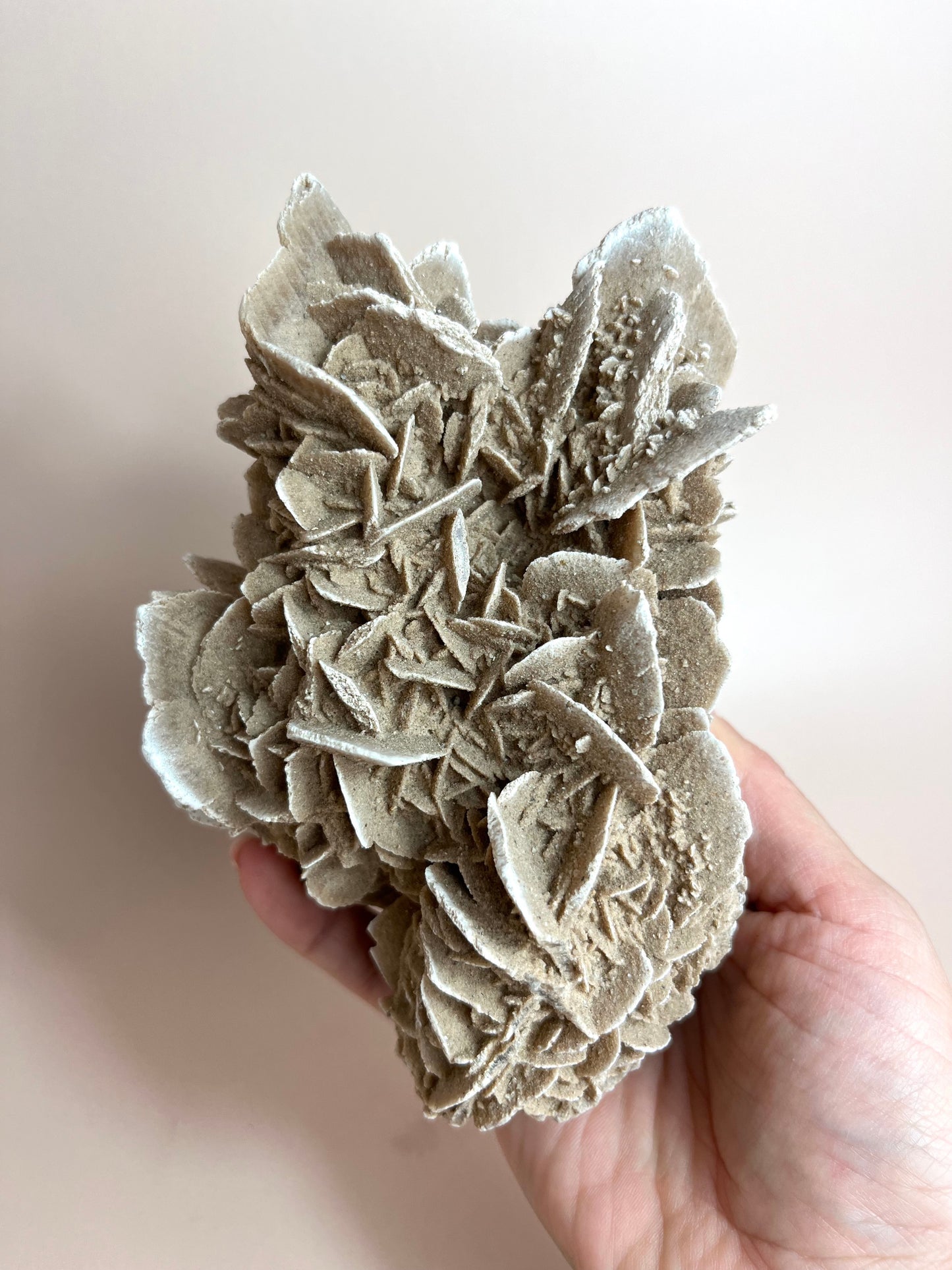 Desert Rose Gypsum Large Piece