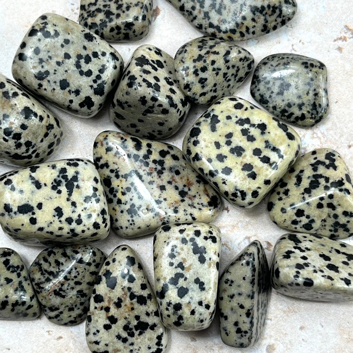 Dalmatian Jasper Tumble Stone